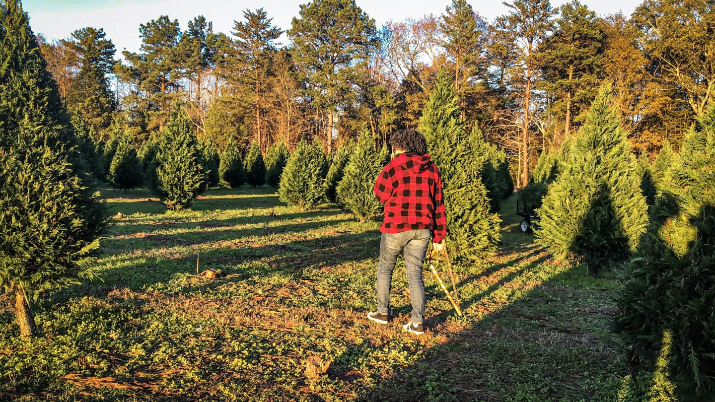 Blogmas; Cut Your Own Christmas Tree Farm