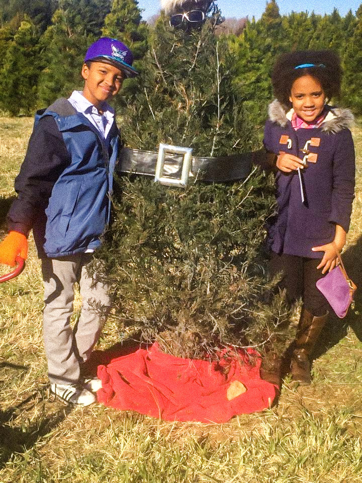 Blogmas; Cut Your Own Christmas Tree Farm